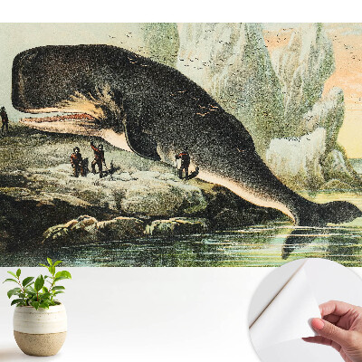 Cașaloț pe țărm într-un decor clasic