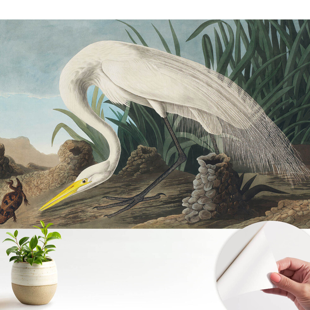 Un stârc în iarbă