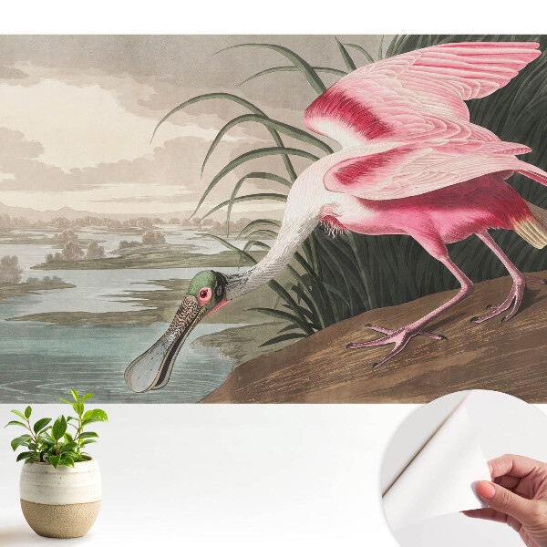 Idilă cu un flamingo