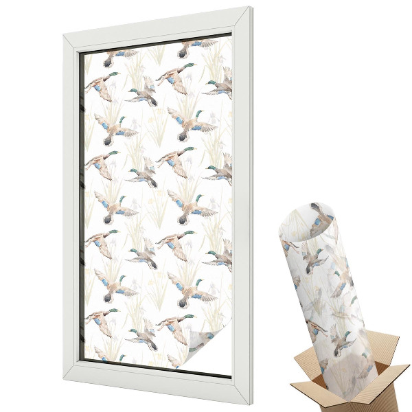 Folie geamuri protecție solară Păsări în natură