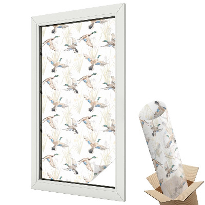 Folie geamuri protecție solară Păsări în natură