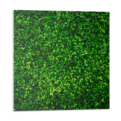 Panouri de vinil PVC Un zid dens de frunze