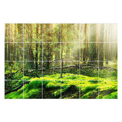 Autocolante pentru gresie Pădure verde cu mușchi