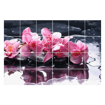 Autocolante gresie si faianta Flori pe pietre în apă