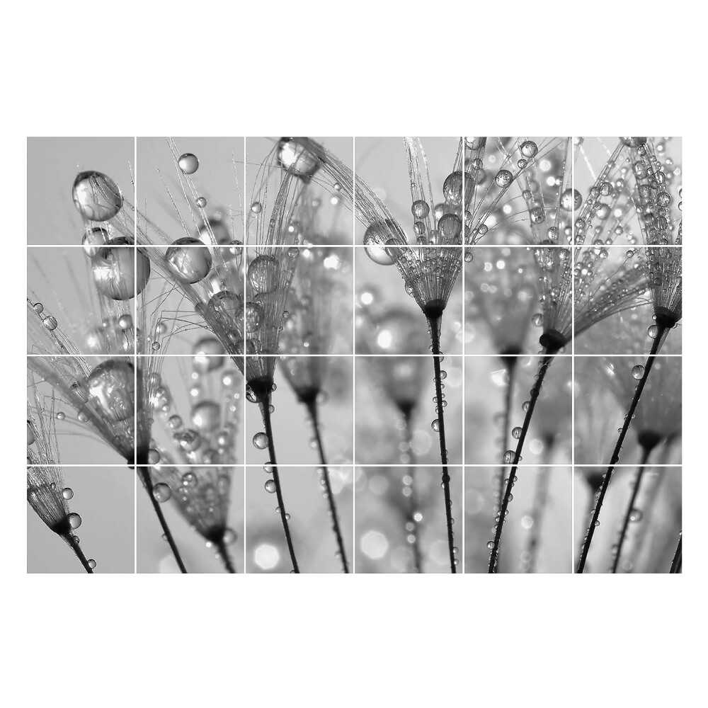 Autocolante gresie si faianta Picături pe tulpini delicate