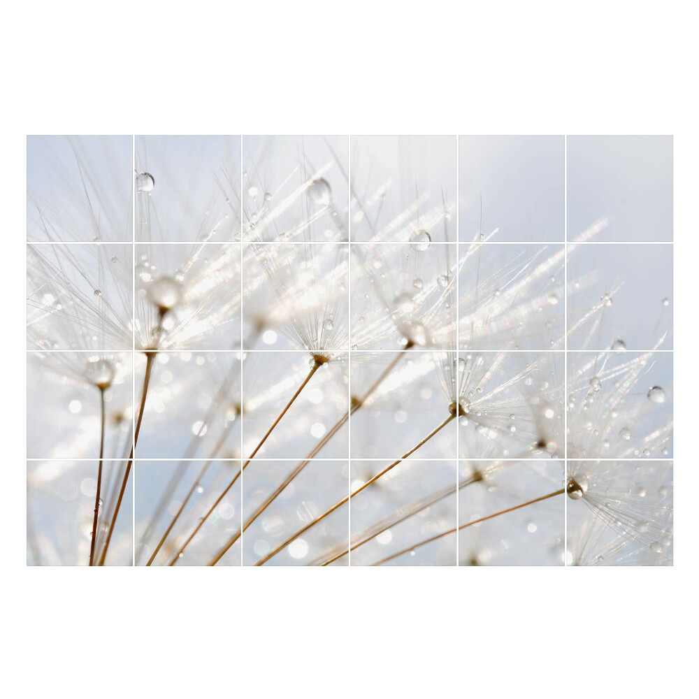 Autocolante gresie si faianta Picături pe puful de păpădie