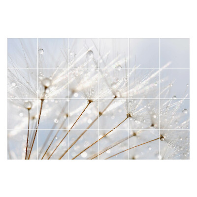 Autocolante gresie si faianta Picături pe puful de păpădie