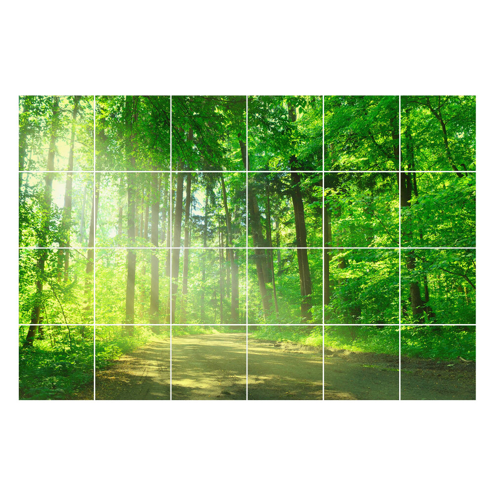 Autocolante pentru gresie Poteca în raze