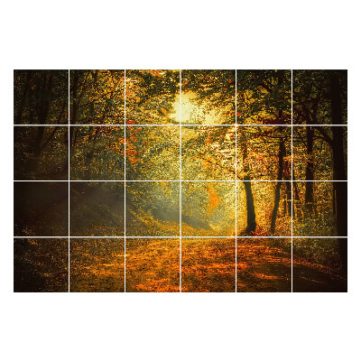 Autocolante gresie Peisaj de pădure de toamnă