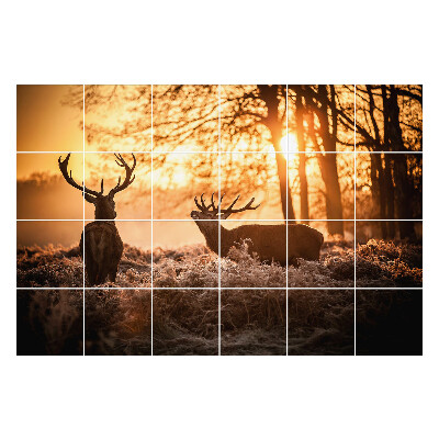 Autocolante pentru gresie Căprioare în ceața dimineții