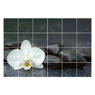 Autocolante gresie Floare pe pietre de apă