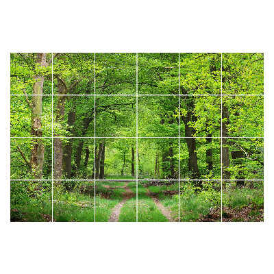 Autocolante pentru gresie Poteca de pădure în natură