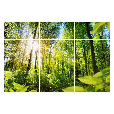 Autocolante gresie Raze de soare în pădure