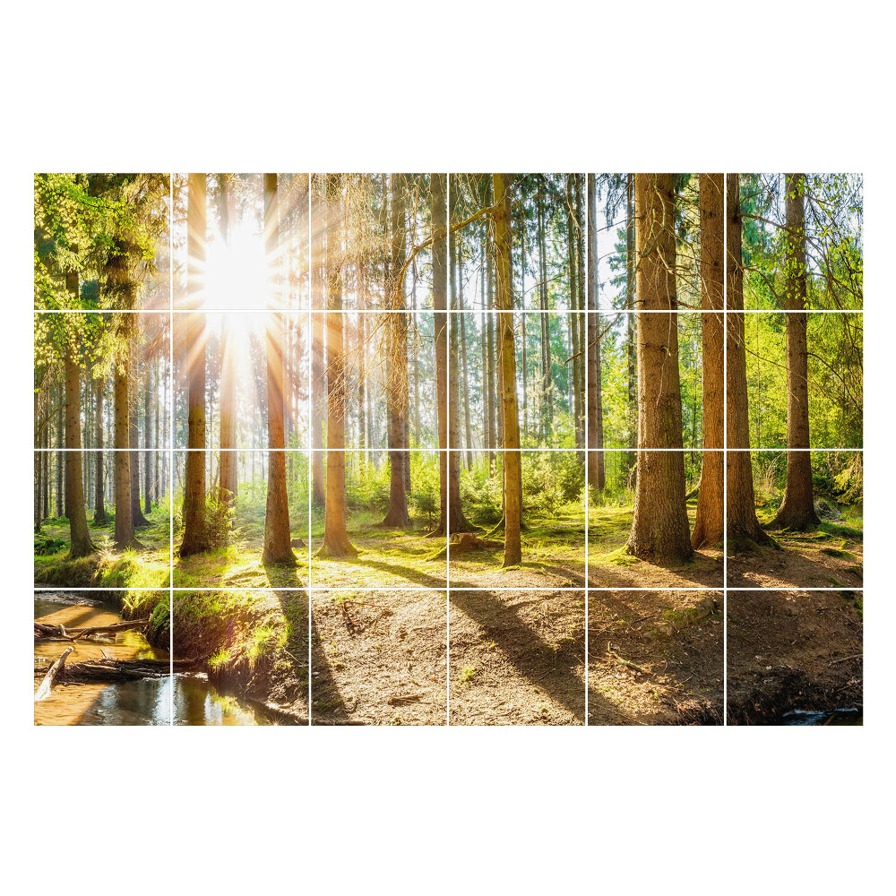 Autocolante gresie si faianta Peisaj de pădure cu raze