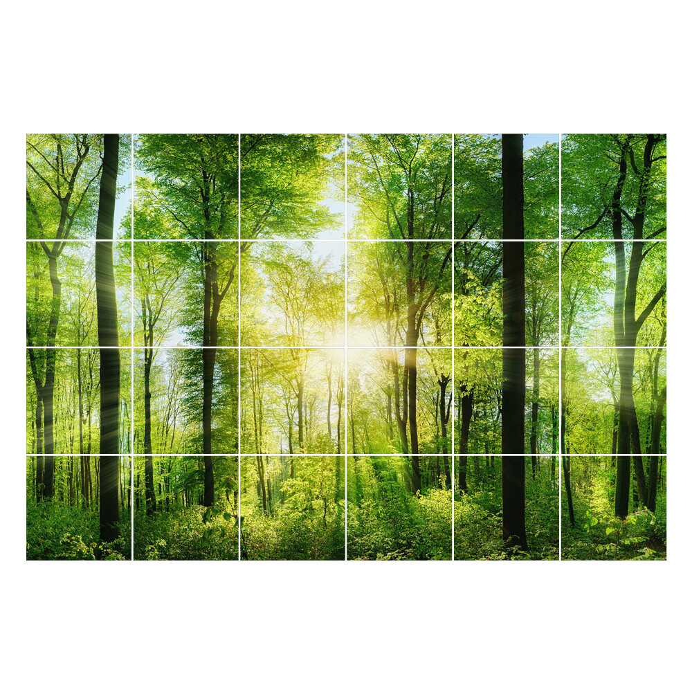Autocolante gresie si faianta Pădure verde cu raze