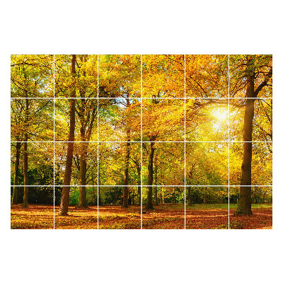 Autocolante pentru gresie Frunze de aur în pădure