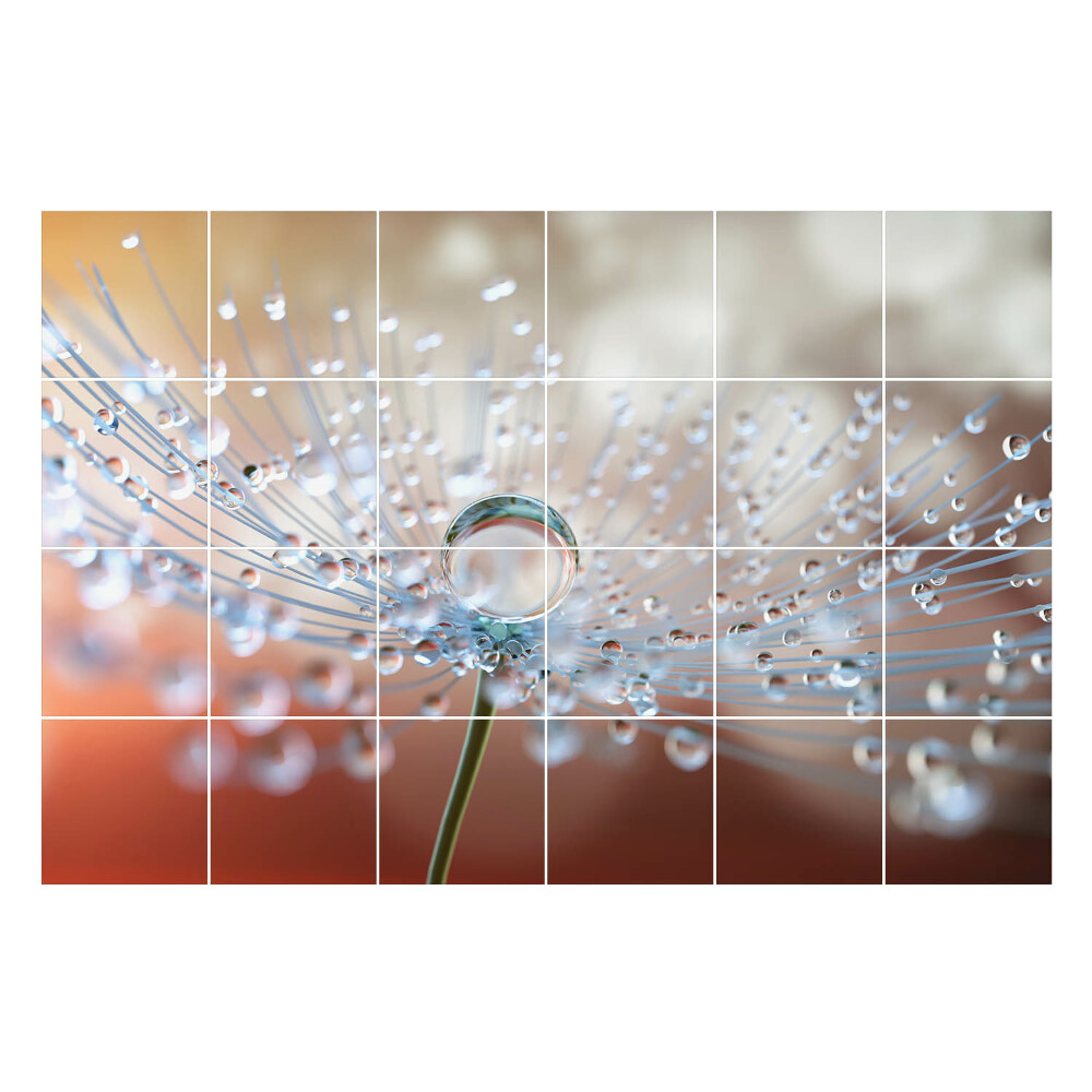 Autocolante pentru gresie Picături pe un lăstar delicat