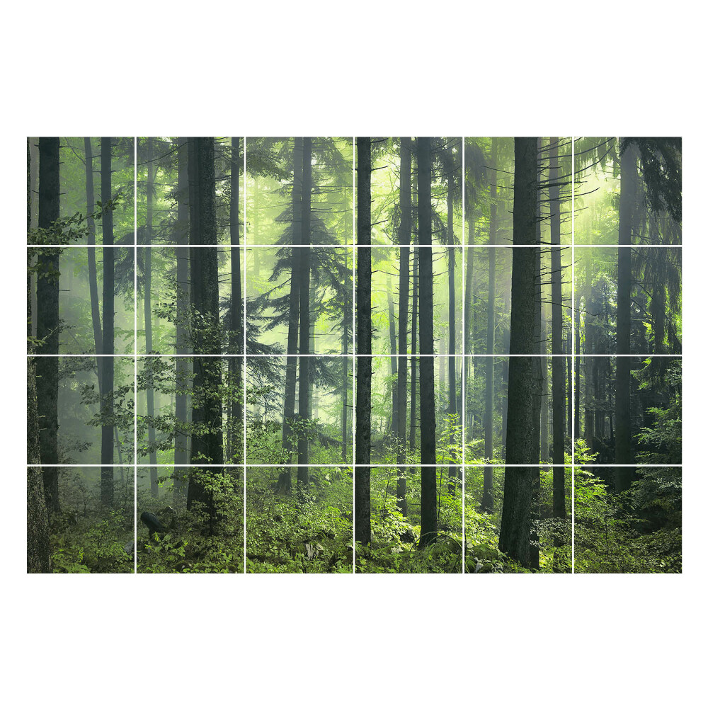 Autocolante gresie Pădure deasă cu ceață