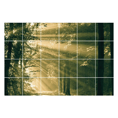 Autocolante gresie si faianta Raze de lumină în pădure