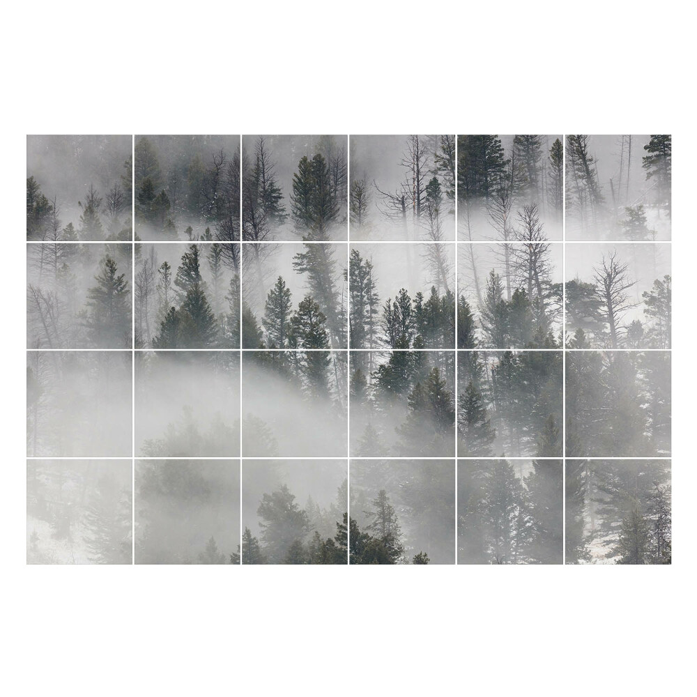 Autocolante gresie Peisaj cețos al pădurii