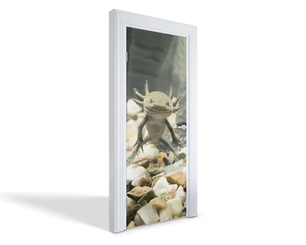Autocolant pentru uși Axolotl zâmbitor