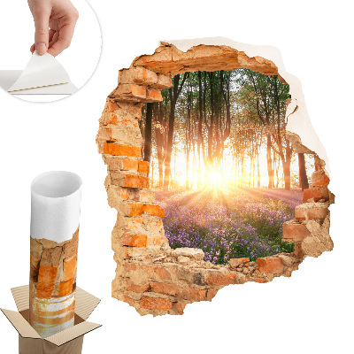 Sticker perete gaură 3D 85x100 Descoperire în pădure