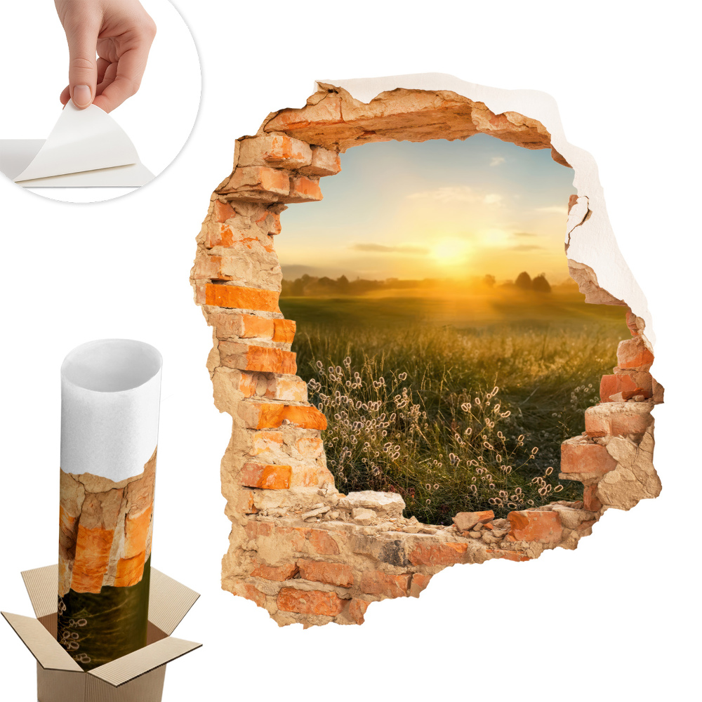 Sticker perete gaură 3D 111x130 Pajiște însorită