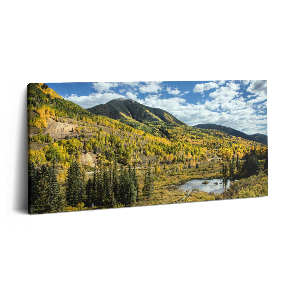 Tablou tipărite pe pânză 100x50 Peisaj cu vegetație montană