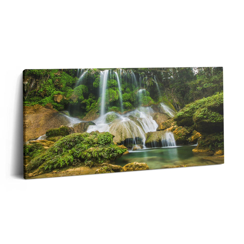 Tablou tipărite pe pânză 100x50 Cascadă naturală sălbatică