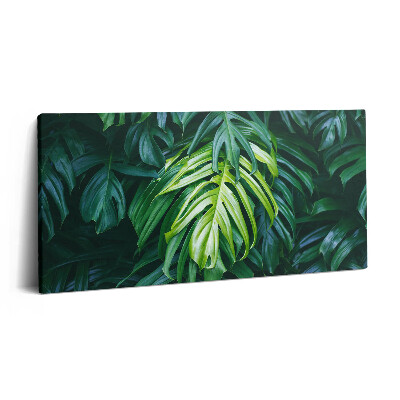 Tablou tipărite pe pânză 100x50 Natură tropicală - frunze de monstera