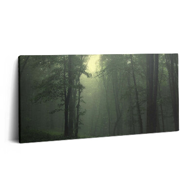 Tablou tipărite pe pânză 100x50 Pădurea încețoșată dimineața