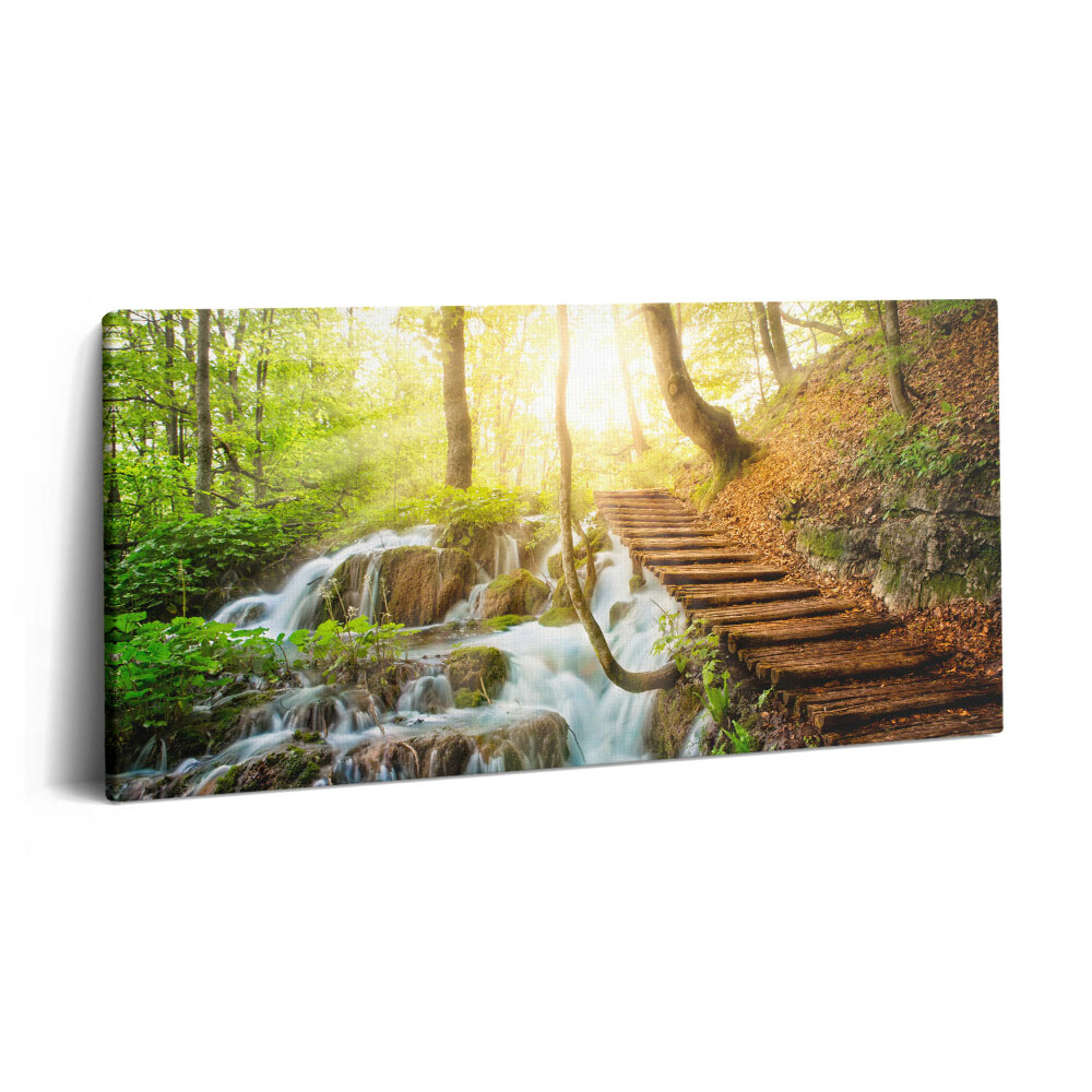 Tablou tipărite pe pânză 100x50 Pârâu și scări în pădure