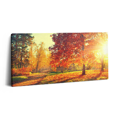 Tablou tipărite pe pânză 100x50 Parc de toamnă