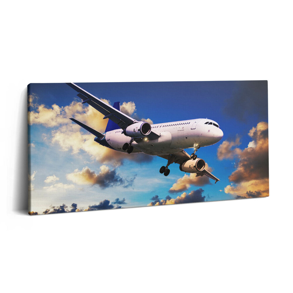 Tablou tipărite pe pânză 100x50 Avion în nori