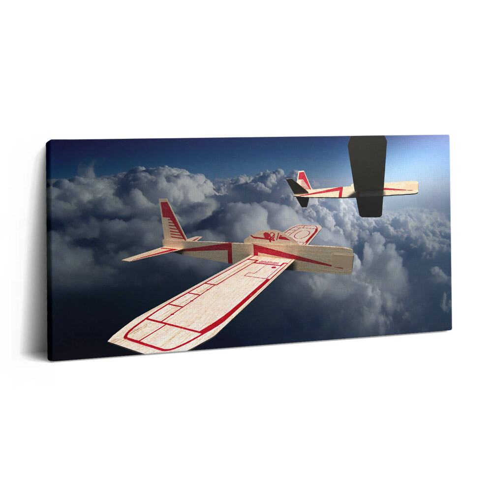 Tablou tipărite pe pânză 100x50 Zburând prin cer