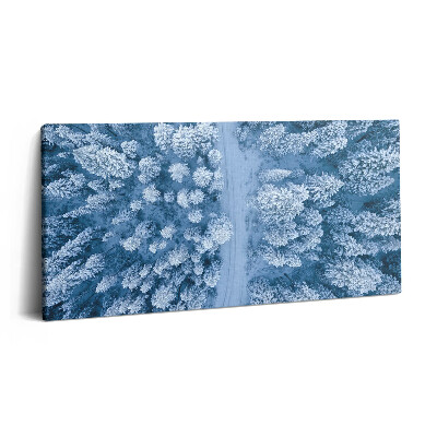 Tablou tipărite pe pânză 100x50 Vedere aeriană a pădurii. Drone