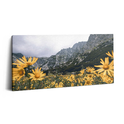 Tablou tipărite pe pânză 100x50 Pajiște cu flori din Munții Tatra