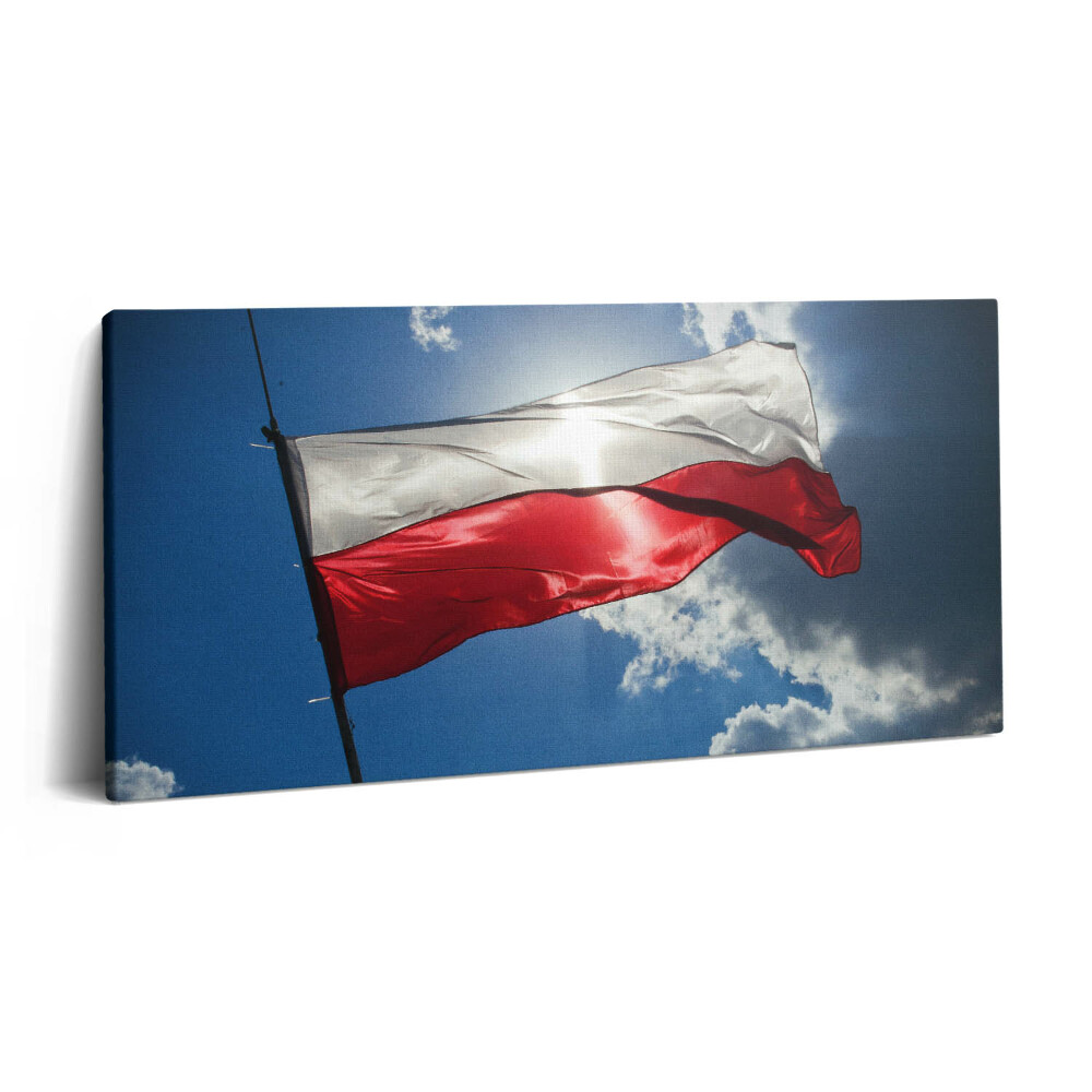 Tablou tipărite pe pânză 100x50 Steagul Poloniei pe cer