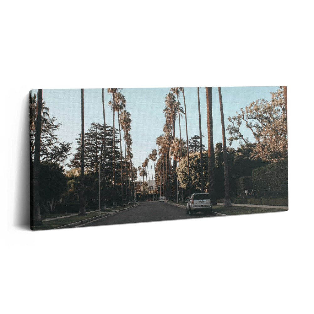 Tablou tipărite pe pânză 100x50 Un vehicul pe drum printre copaci