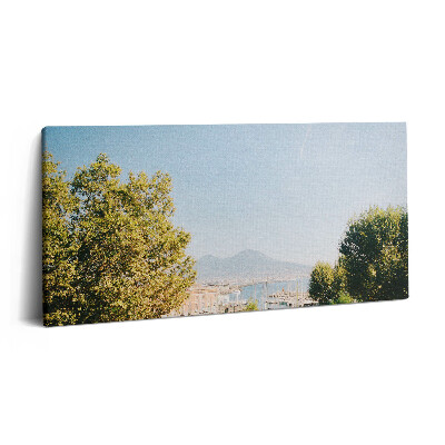 Tablou tipărite pe pânză 100x50 Copaci verzi în Napoli