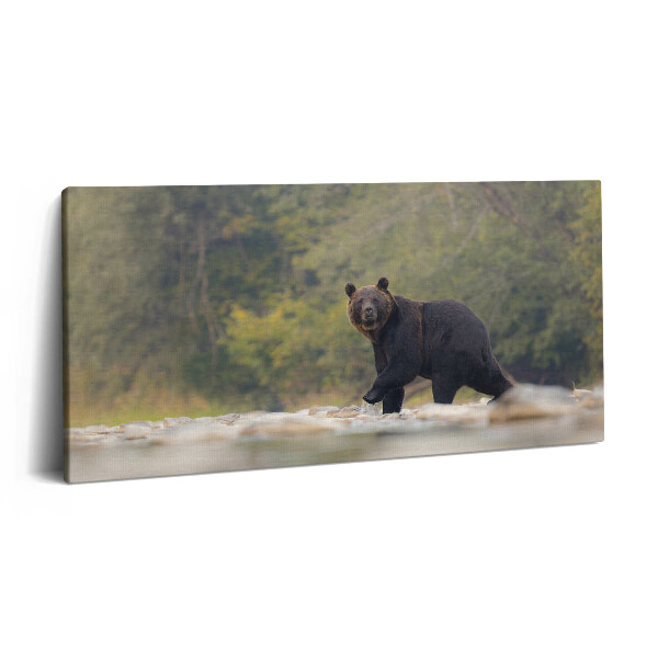 Tablou tipărite pe pânză 100x50 Urs în Munții Bieszczady
