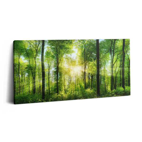 Tablou tipărite pe pânză 100x50 Natura copacilor de pădure