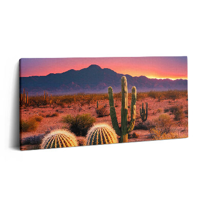 Tablou tipărite pe pânză 100x50 Apus de soare în deșert