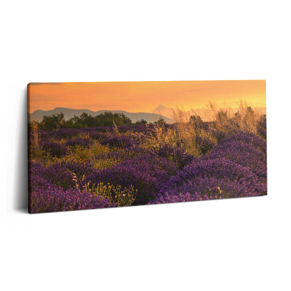 Tablou tipărite pe pânză 100x50 Pajiște de lavandă Provence Franța