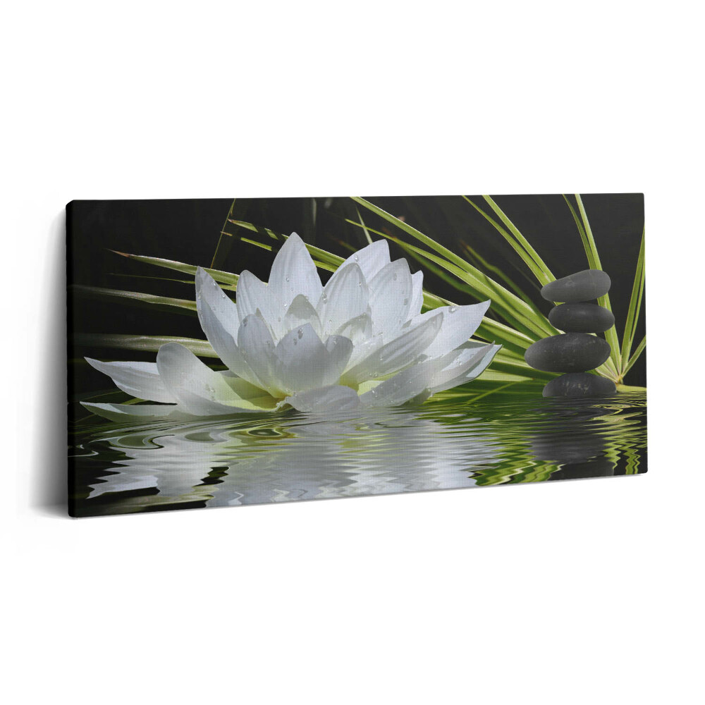 Tablou tipărite pe pânză 100x50 Nufăr și frunze