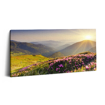 Imprimare tablou canvas 120x60 Munți și o pajiște cu flori