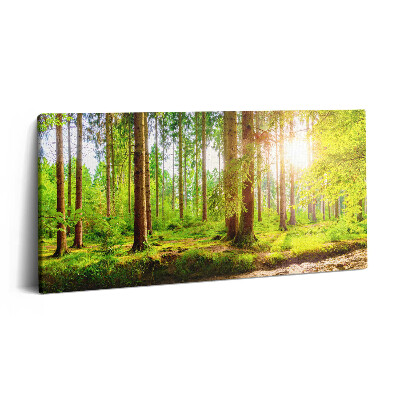 Imprimare tablou canvas 120x60 Pădurea la soare