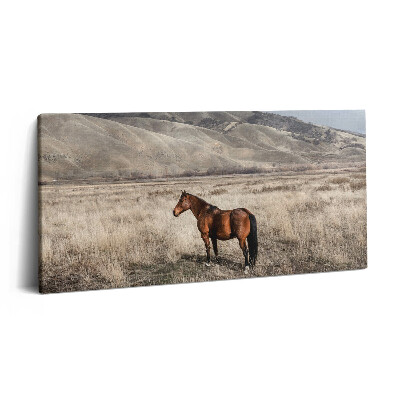 Imprimare tablou canvas 120x60 Armăsar în iarbă