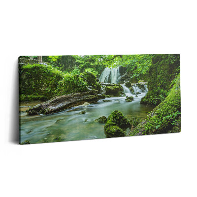 Imprimare tablou canvas 120x60 Cascadă în jungla sălbatică