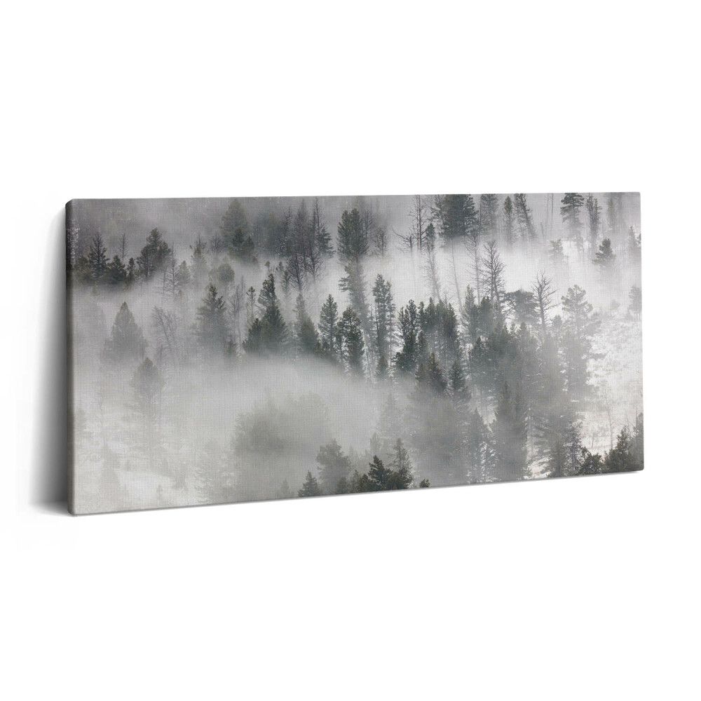 Imprimare tablou canvas 120x60 Peisaj de pădure încețoșată